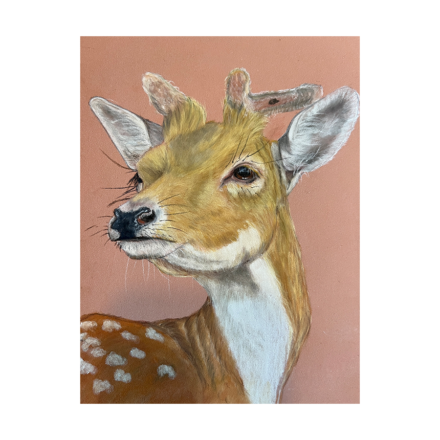 Time I Was On My Way